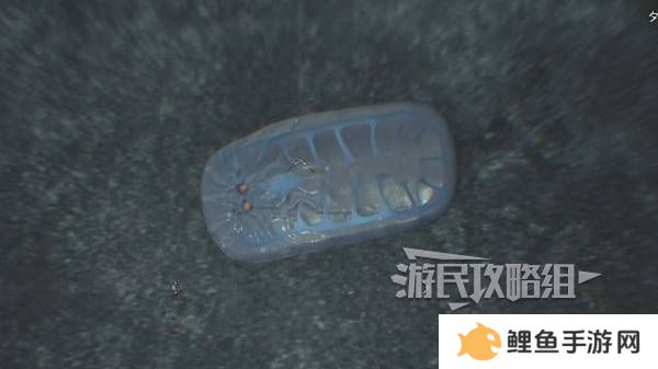怪物猎人荒野大虚无动在哪捕获    大虚无动捕获攻略图片8