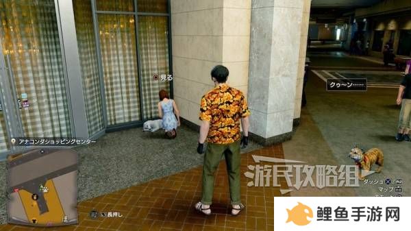 如龙8外传救护动物位置总汇   救护动物食材盘点图片19