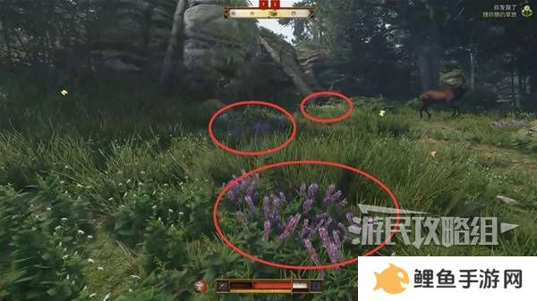 天国拯救2图文攻略大全   所有任务全流程攻略总汇图片29