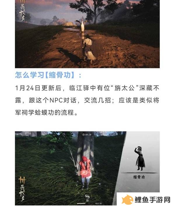 燕云十六声缩骨功在哪    缩骨功获得攻略图片2