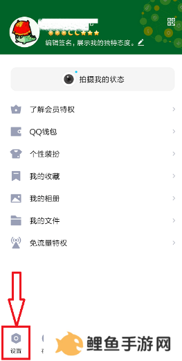 QQ自定义在线状态iphone12版