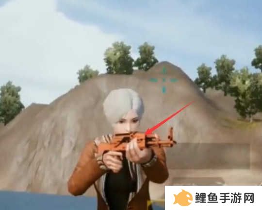 和平精英美化包使用教程 图片5