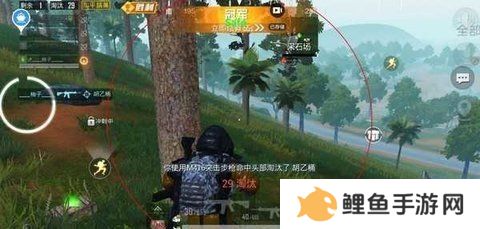 天尚网