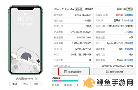 爱思助手安卓版尝鲜版怎么验机1