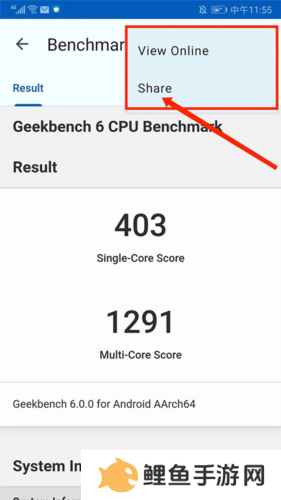 Geekbench6安卓版使用说明图片6