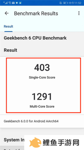 Geekbench6安卓版使用说明图片4
