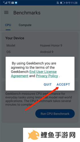 Geekbench6安卓版使用说明图片1
