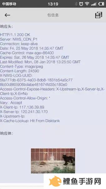 抓包精灵下载-抓包精灵app最新版下载