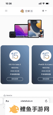 尝鲜派