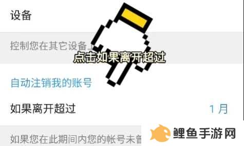 纸飞机官方