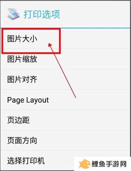 趣打印怎么调整图片大小3