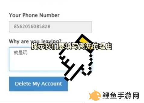 纸飞机官方