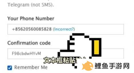 纸飞机官方