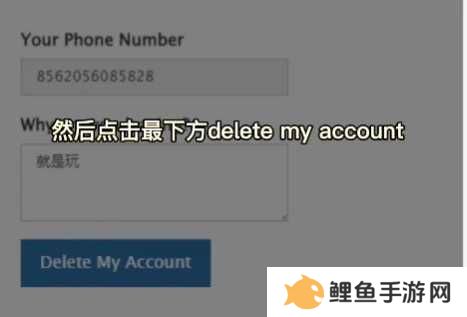 纸飞机官方