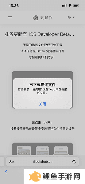 尝鲜派安装步骤