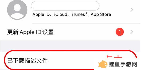 age动漫ios苹果版