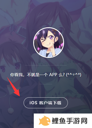 age动漫ios苹果版