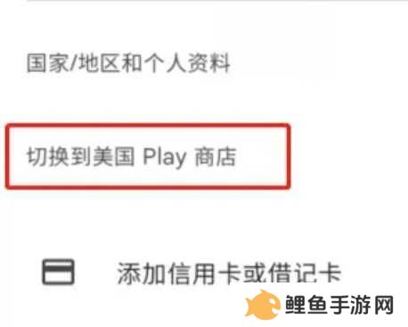 Play商店