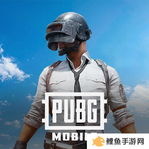 pubg国际服