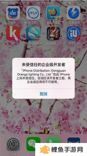 使用说明