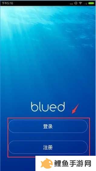 布鲁帝app