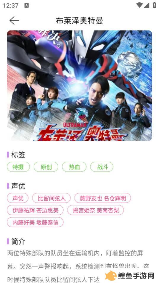 烟花动漫无广告