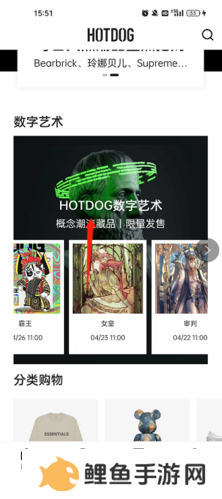 hotdog数字藏品怎么买数字藏品