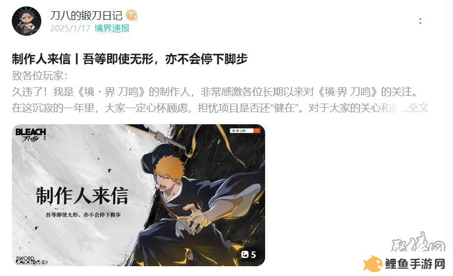 爷青回！《境·界 刀鸣》测试定档，我的斩魄刀已饥渴难耐了！