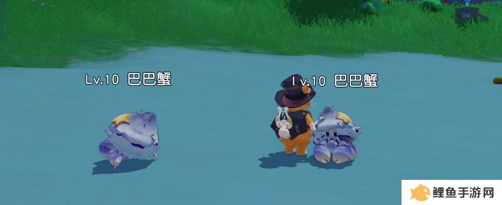 MMO赛道又迎来了怪咖新成员？这款新作12月初正式开启PC端测试！