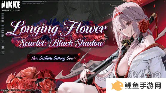 nikke胜利女神2周年兑换码大全 妮姬胜利女神2周年福利活动汇总