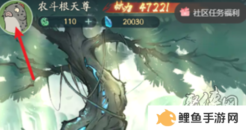 寻道大千11月礼包码大全 最新2024年11月兑换码福利合集