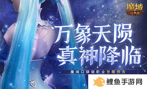 还有高手？魔域口袋版12月职业觉醒预告！