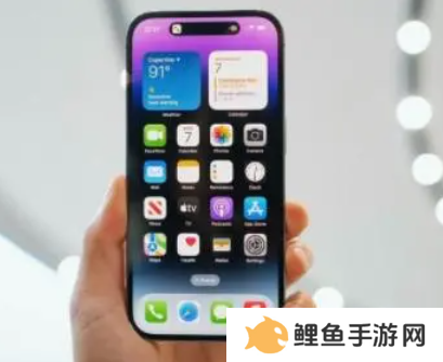 苹果灵动岛功能怎么玩 苹果灵动岛功能设置教程