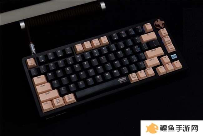 CHERRY客制化键盘PIXIU75上市 为年轻创客定义新玩法