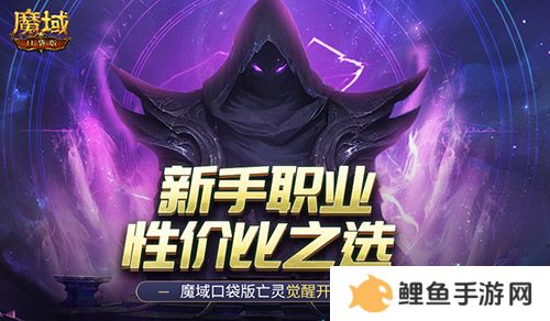新手职业性价比之选！魔域口袋版亡灵觉醒