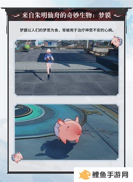 崩坏：星穹铁道2.5版本将于9月10日更新，十连+1000星琼免费领取!