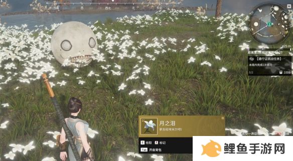 永劫无间火罗国联动彩蛋在哪里 永劫无间火罗国彩蛋位置